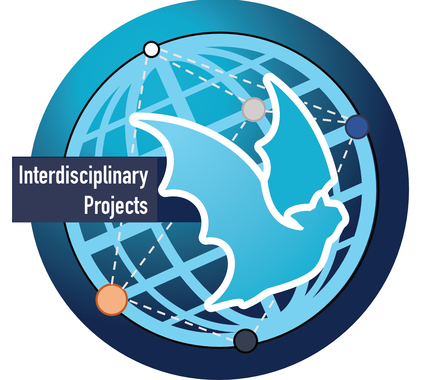 Interdisciplinary Projects